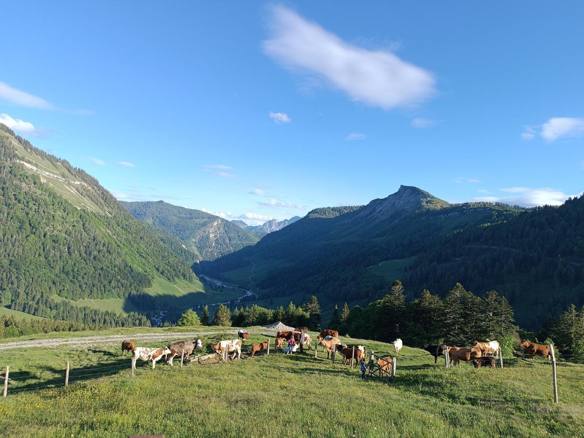 Hintererhof Lejlighed Hintersee Eksteriør billede